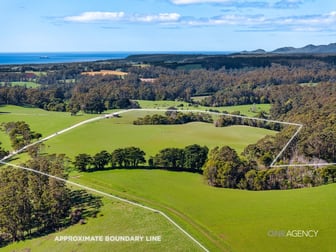 206 Murrays Lane South Forest TAS 7330 - Image 3