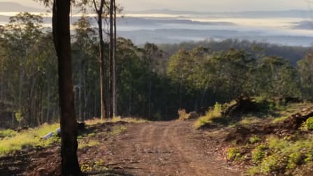 750 Sugar Bag Rd ( West ) Drake NSW 2469 - Image 3