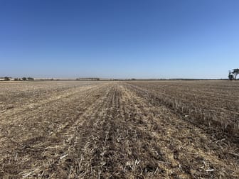 Dwarlacking Road Bulyee WA 6306 - Image 1