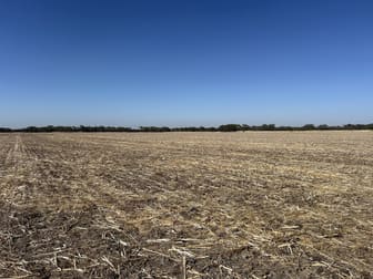 Dwarlacking Road Bulyee WA 6306 - Image 3