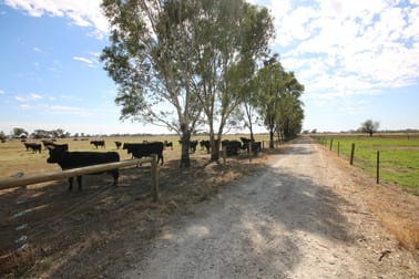 1480 Fennaughty Road Merrigum VIC 3618 - Image 1
