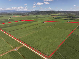 2143 Mackay Eungella Road Mirani QLD 4754 - Image 2