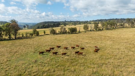 222 River View Road Armidale NSW 2350 - Image 2