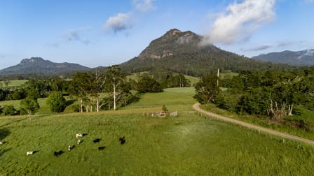 63 Mount Coxcomb Road Upper Lansdowne NSW 2430 - Image 3