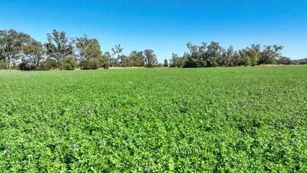 73-95 King George V Ave Tamworth NSW 2340 - Image 2