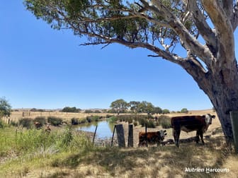 3857 Glenelg Highway Coleraine VIC 3315 - Image 1