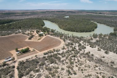 2284B Wentworth Renmark Road Renmark SA 5341 - Image 2