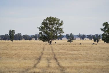 1152 Central Island Road Galore NSW 2650 - Image 3