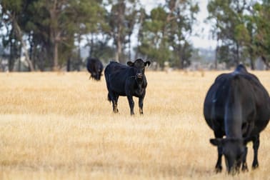 1152 Central Island Road Galore NSW 2650 - Image 1