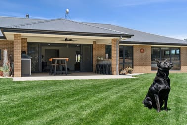 203 Williamsdale Road Burra NSW 2620 - Image 2