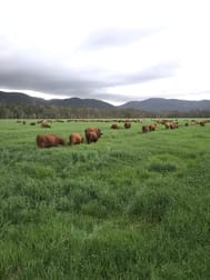 Carrington QLD 4883 - Image 1