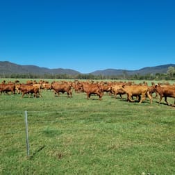 Carrington QLD 4883 - Image 3