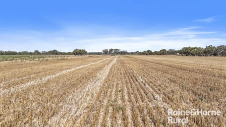 A107 Ballandown Road Langhorne Creek SA 5255 - Image 3