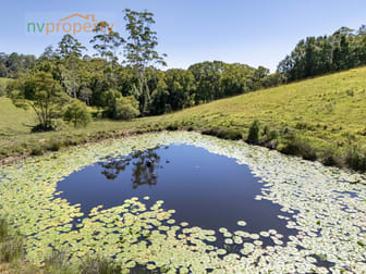657 Newee Creek Road Newee Creek NSW 2447 - Image 2
