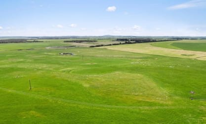 687 Mount Salt Road Mount Schank SA 5291 - Image 2