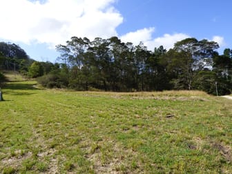 Lot 1122 Ruggs Road Nethercote NSW 2549 - Image 3