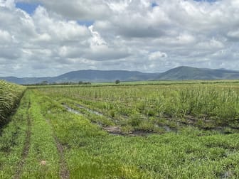 2/ Balberra Road Balberra QLD 4740 - Image 1