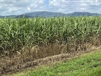 2/ Balberra Road Balberra QLD 4740 - Image 2