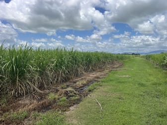 2/ Balberra Road Balberra QLD 4740 - Image 3