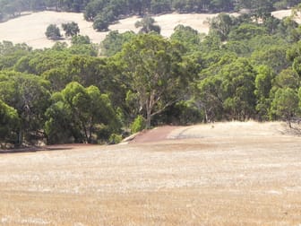 3145 Bindoon-Dewars Pool Road Bindoon WA 6502 - Image 2
