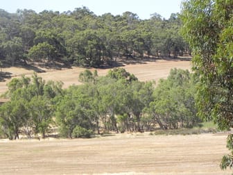 3145 Bindoon-Dewars Pool Road Bindoon WA 6502 - Image 3
