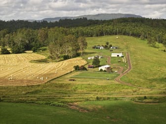 1023 Iron Pot Creek Rd Kyogle NSW 2474 - Image 3