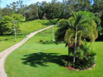 297 Smith Cross Road Devereux Creek QLD 4753 - Image 3