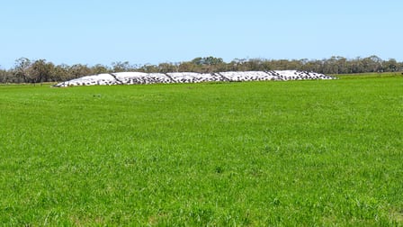 Click to view all images 111 Smith Street Heywood VIC 3304 - Image 3