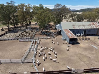 Click to view all images Address Via Request Road Grenfell NSW 2810 - Image 1