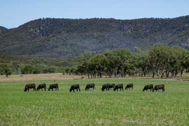 32 - 72 Woodside Road Tenterfield NSW 2372 - Image 1
