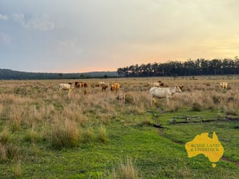 373 Ormonde Road Monogorilby QLD 4626 - Image 1