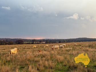 373 Ormonde Road Monogorilby QLD 4626 - Image 2