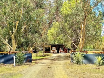 Click to view all images 506 North Forbes Rd Condobolin NSW 2877 - Image 1