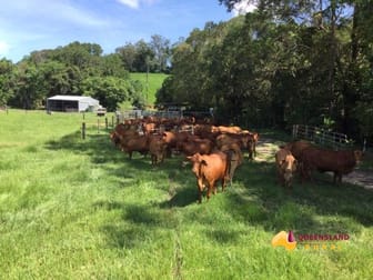 Click to view all images Bombeeta QLD 4871 - Image 2