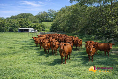 Bombeeta QLD 4871 - Image 2