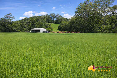 Bombeeta QLD 4871 - Image 3