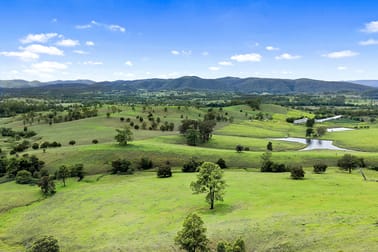 Lot 2 2135 The Bucketts Way Wards River NSW 2422 - Image 1