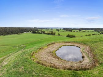 375 Outtrim - Moyarra Road Outtrim VIC 3951 - Image 3