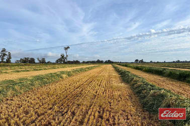 490 Neal Road Undera VIC 3629 - Image 3