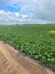 . 'Jurocken & Corrylyn' Dowerin WA 6461 - Image 1