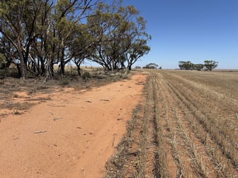 . 'Jurocken & Corrylyn' Dowerin WA 6461 - Image 2