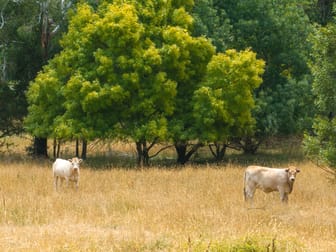 999 Lake Canobolas Road Orange NSW 2800 - Image 3