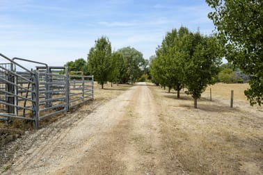 Click to view all images 206 Alma Road Beechworth VIC 3747 - Image 3