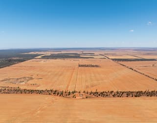 Click to view all images Bullfinch Aggregation, Bullfinch-Evanston Road Bullfinch WA 6484 - Image 1