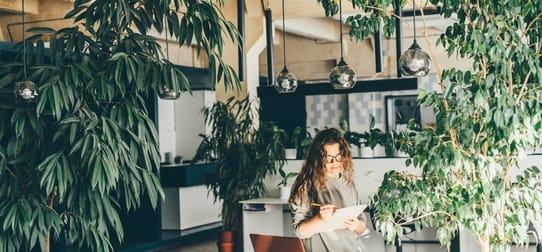 Garden & Household  business for sale in Melbourne - Image 1