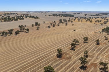 1830 Rowes Road Dandaragan WA 6507 - Image 2