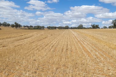 1830 Rowes Road Dandaragan WA 6507 - Image 2