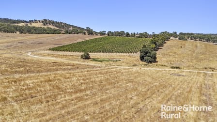 Click to view all images Lot 21 Williams Road Mount Barker Summit SA 5251 - Image 3