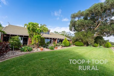 Click to view all images 145 Tolley Road Nuriootpa SA 5355 - Image 1