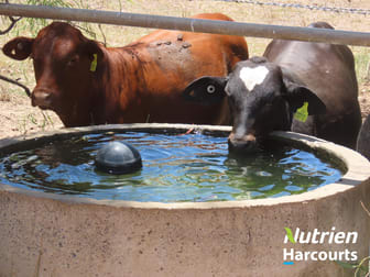 7 Mullers Road Chinchilla QLD 4413 - Image 2